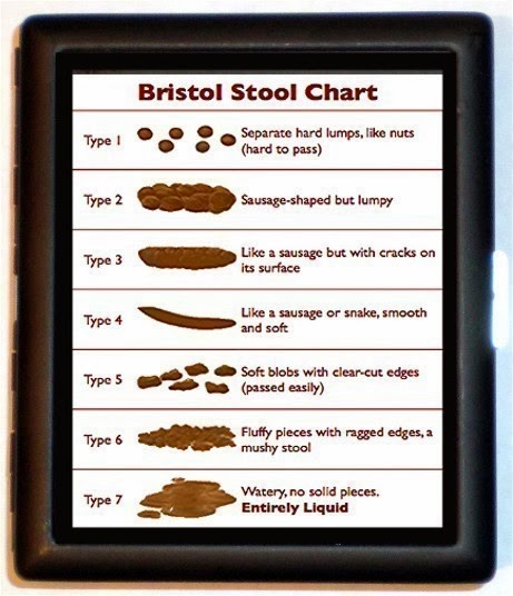 Sweetheartsinner Creations: Bristol Stool Chart Cigarette Case by ...