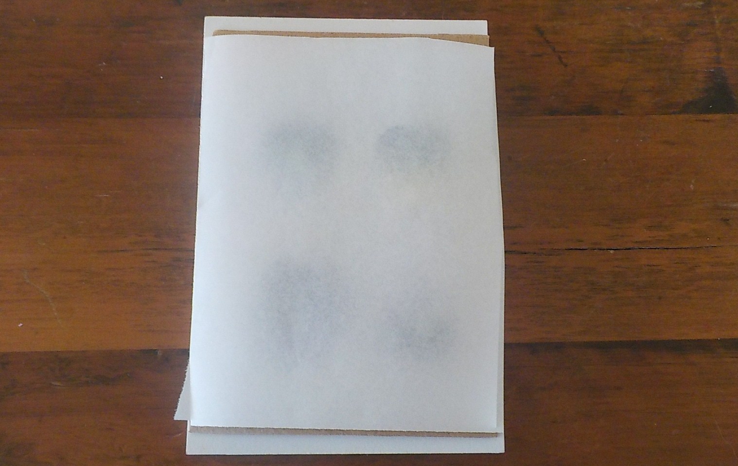 a hopeful nature Pressing Flowers