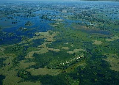 Okavango Delta Swamp in Botswana