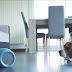 Η ΛΑΪΚΑ ΣΤΟ ΣΠΙΤΙ! Ένα νέο ρομπότ για τον σκύλο που είναι μόνος στο σπίτι...