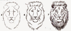 lion easy drawing heads painting tips face draw outline mane steps idea beginners line trick primate