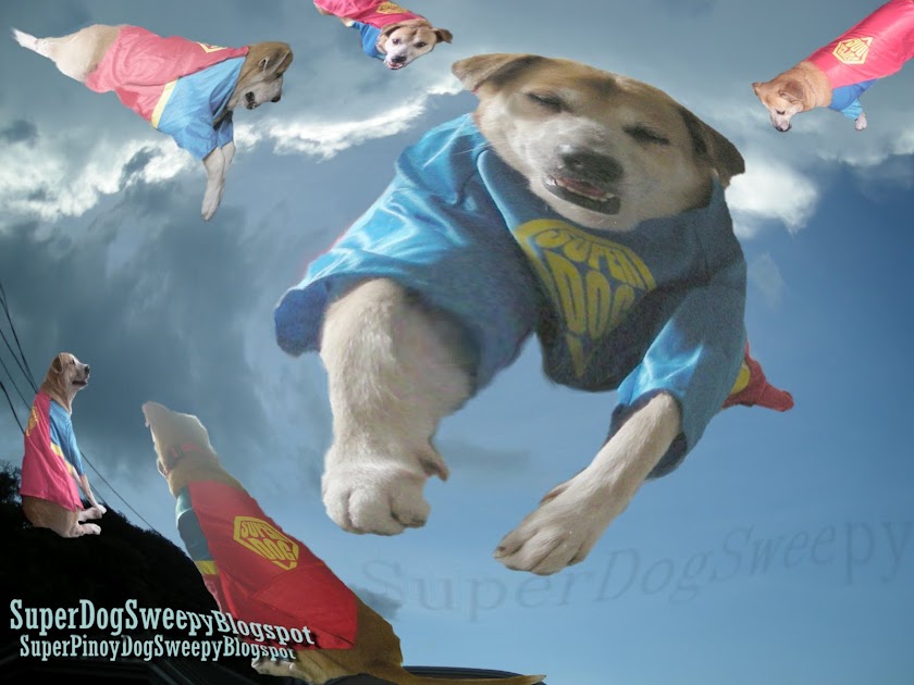 SuperDog Sweepy
