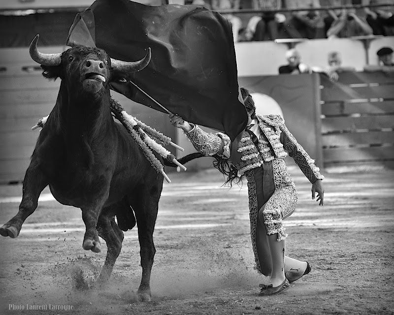 PhOtAuRiNeS Plaisance du Gers Novillada sans picador