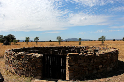 Colmenas en Cabañeros