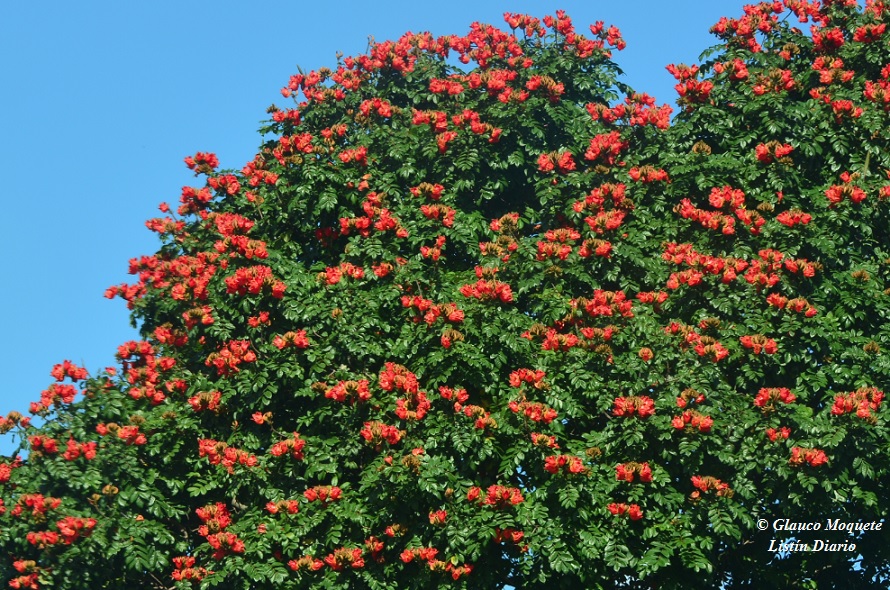 Ningún lugar está lejos&hellip; en RD: Las reinas de la carretera