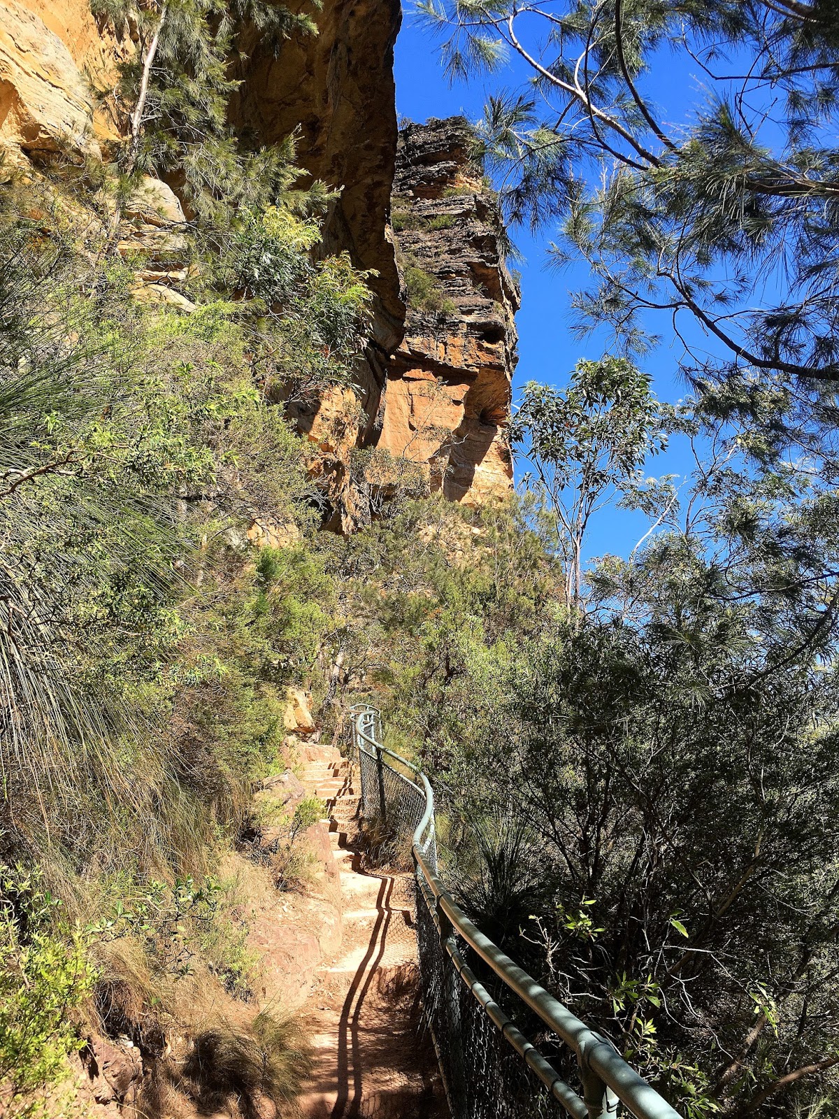 The National Pass track in the World Heritage listed Blue Mountains has been one of the most beautiful hiking trails I have seen. With the highest outdoor staircase and breathtaking views it's not to be missed!