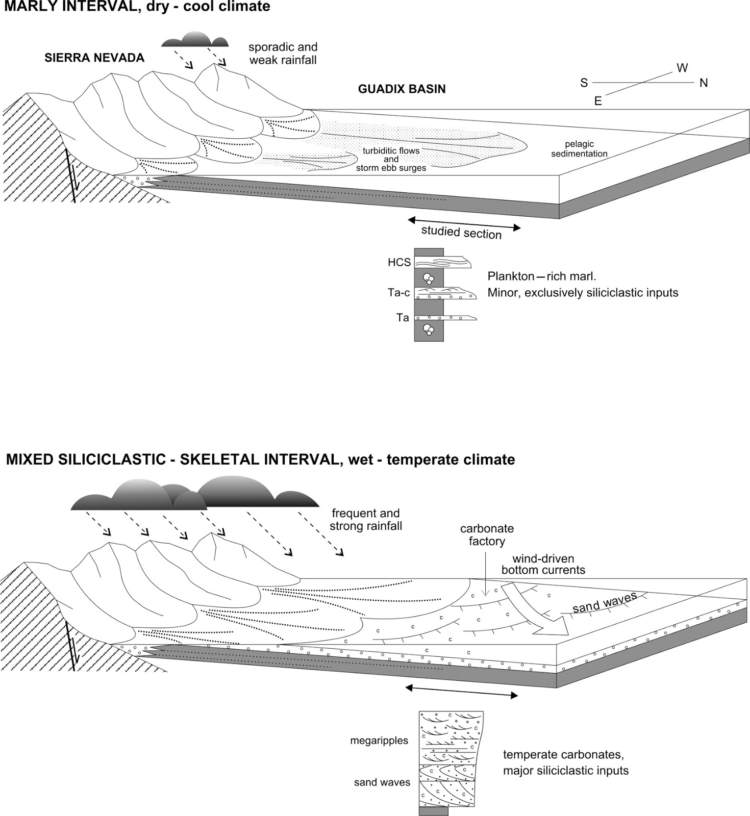 Mixed carbonateclastic environments Learning Geology