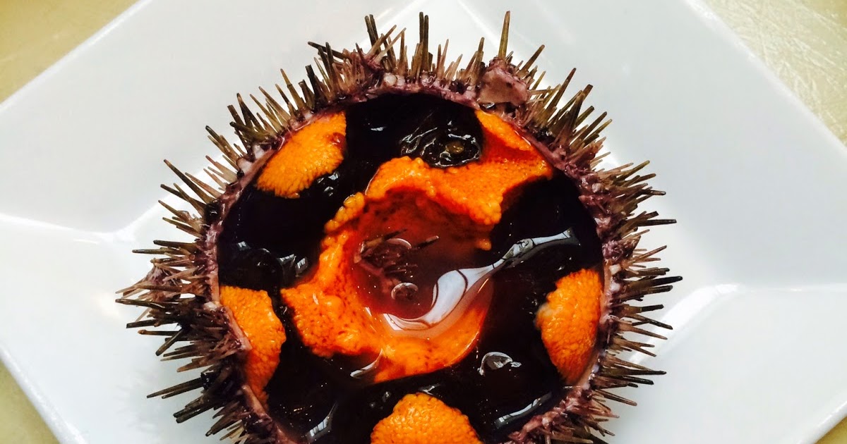 The Edible Ocean: Try The Sea Urchin