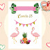 TOPO DE BOLO FLAMINGO