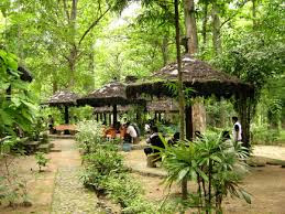 Monumen Hutan Jati Alam Monumen Hutan Jati Alam