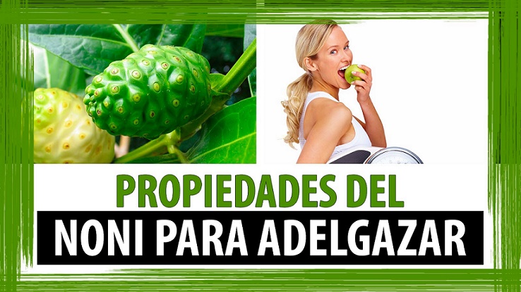 Como tomar el noni para adelgazar