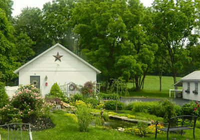 Pam's English Cottage Garden: See How My Garden Grows