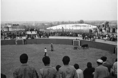 ttt---3.-plaza+toros173.jpg