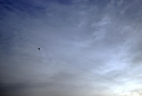 aerobatics, bandra east, bird, blue, clouds, evening, india, mumbai, sky, skywatch, 