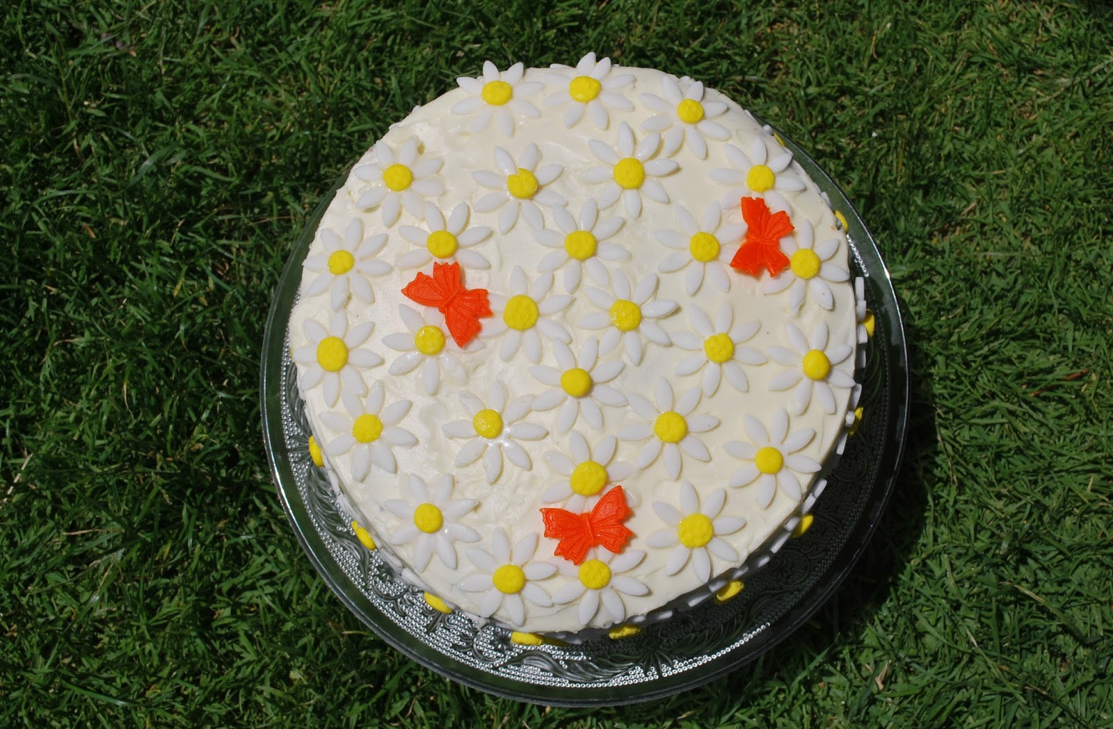 daisy-ombre-cake, margaritas-de-fondant, layer-cake-chocolate