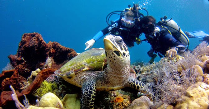 Fantastic diving and snorkeling in Bali ~ Bali is the Last Paradise