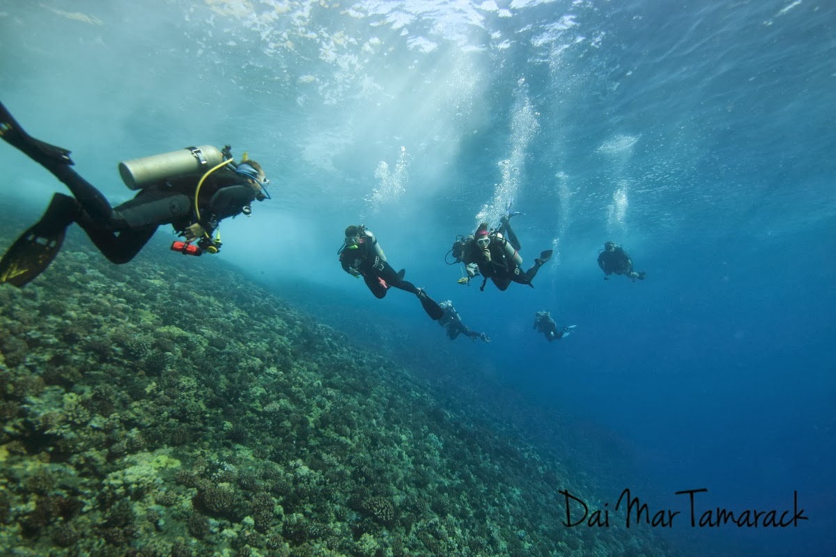 Capturing the Moment Double Back Wall Molokini Deep Dive