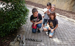 Bioparc Valencia. Bioparc Valencia.