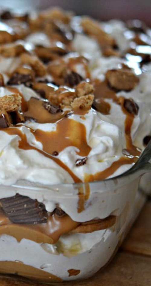 Peanut Butter Cookie Lasagna #peanut #butter #cookies #cookierecipes #lasagna #lasagnarecipes #cake #cakerecipes #dessert #dessertrecipes Peanut Butter Cookie Lasagna #peanut #butter #cookies #cookierecipes #lasagna #lasagnarecipes #cake #cakerecipes #dessert #dessertrecipes