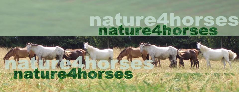 nature4horses