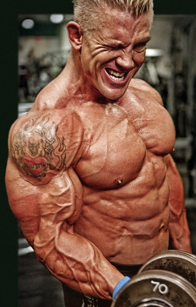 andy haman bodybuilder andy haman bodybuilder