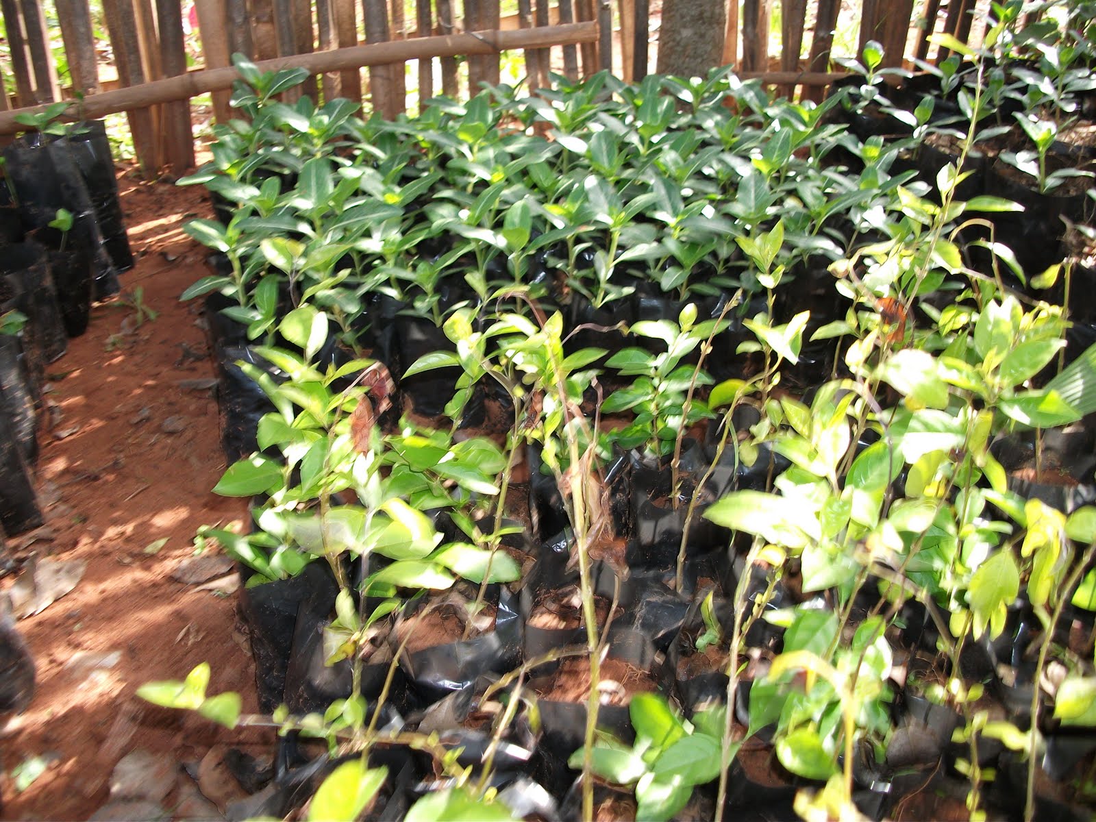 Así es mi Colegio Proyecto 