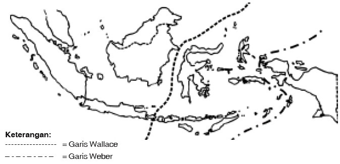 Keanekaragaman Flora  Dan  Fauna  Di Dunia dan  Indonesia