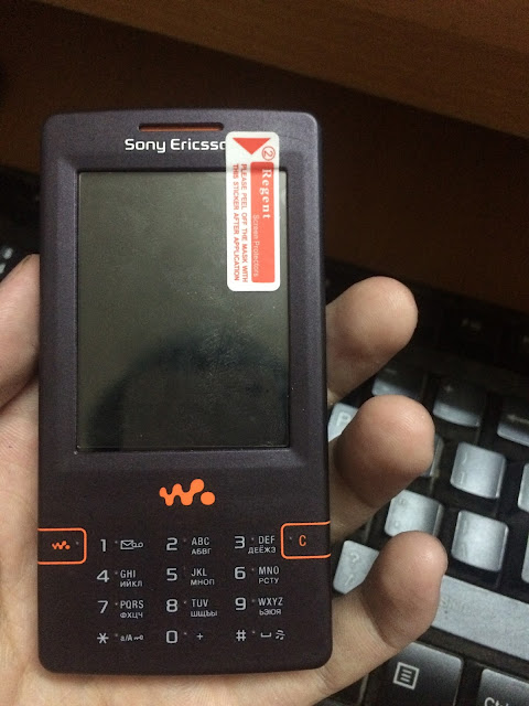 Sony Ericsson W950i_1