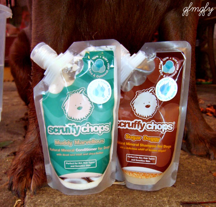 what-does-scruffy-means