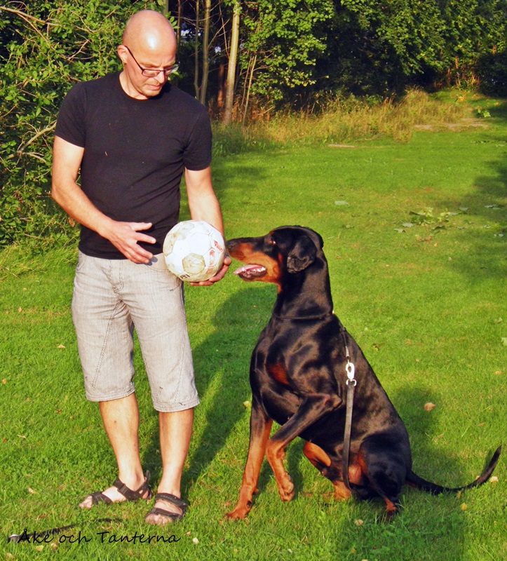 Åke och Tanterna DCMtestade