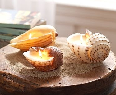 seashell candles