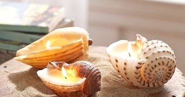 Seashell Candles DIY & Shop