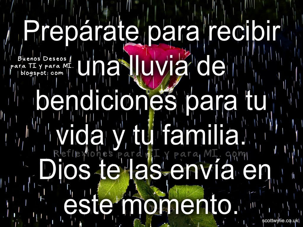 Reflexiones para TI y para MÍ ** Prepárate para recibir una lluvia de bendiciones *