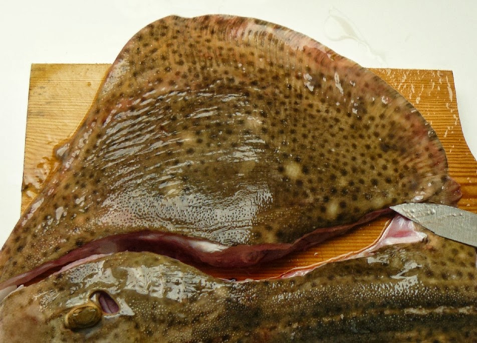 Outras Comidas: Raia de Alhada