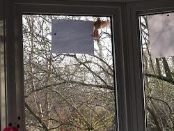 cardinal window flying into repeatedly patchwork quilt she fierce