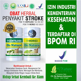 Obat Stroke Obat herbal Stroke, Obat Stroke, Obat Stroke alami, Obat Stroke bagus, Obat Stroke ishemik