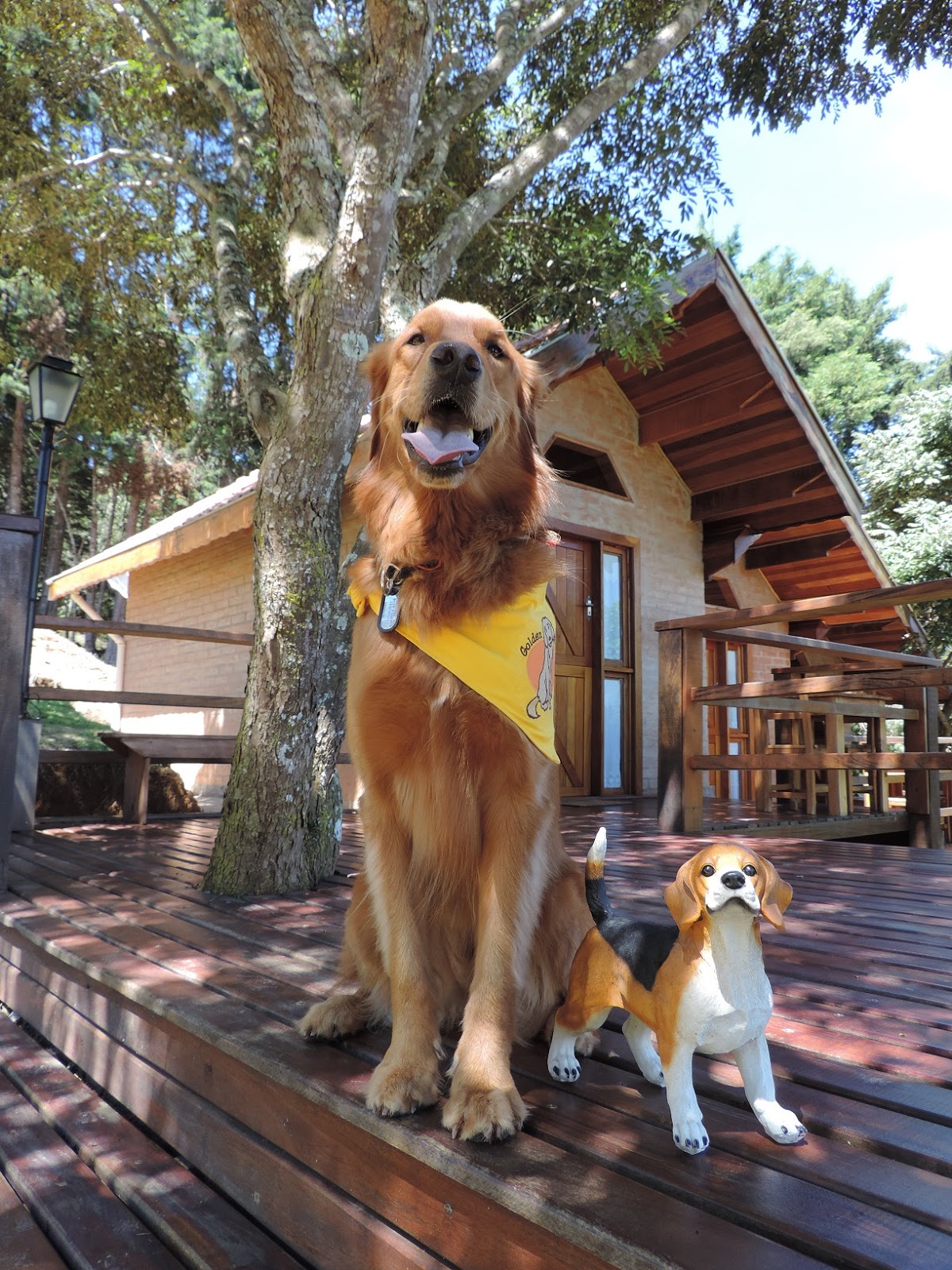 TURISMO 4 PATAS ROTEIRO E SELO PET FRIENDLY DESCOBRINDO SANTO ANTÔNIO