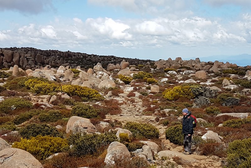 Our Walk a Month October 2016 IceHouse Track, Mt Wellington Our Walk a Month October 2016 IceHouse Track, Mt Wellington