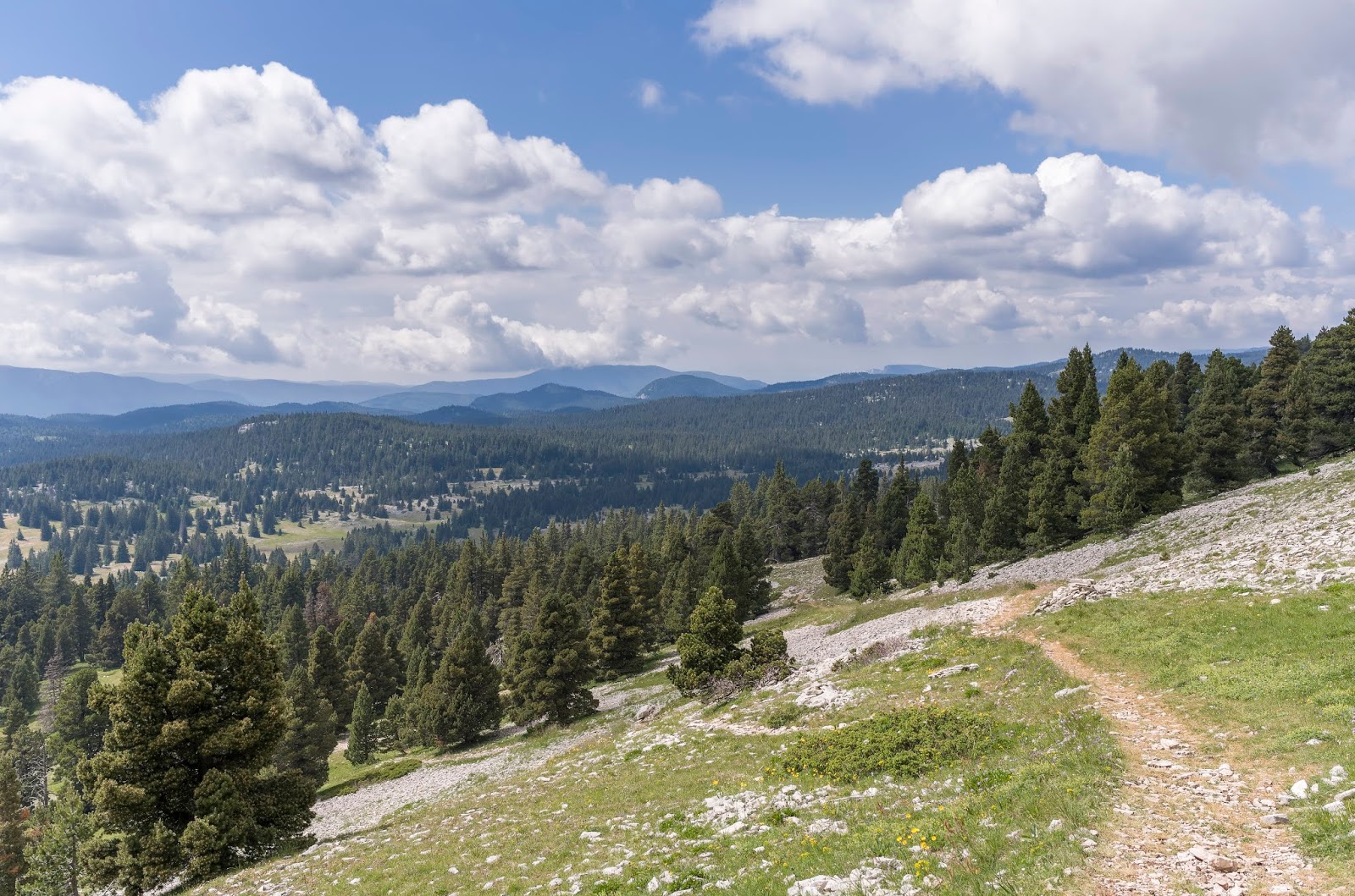 Vercors Grand Veymont Randonnée été Alpes France
