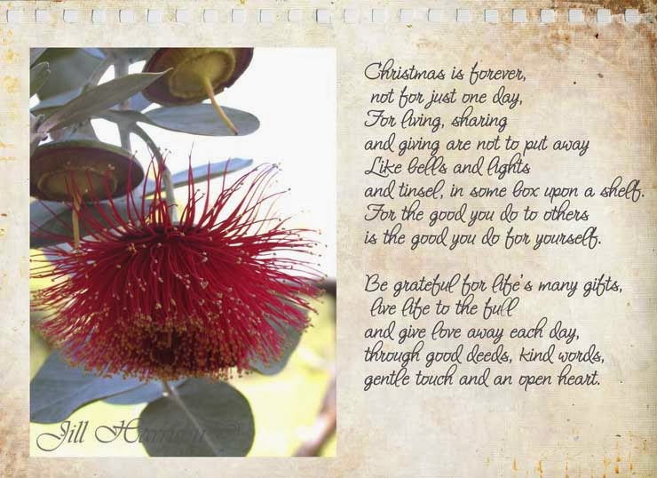Life Images by Jill Christmas wishes to you from me in Australia