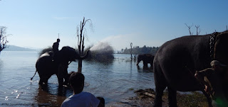 Sakrebail Elephant Camp