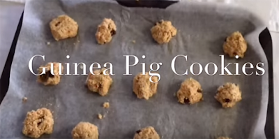 Treat recipes for Guinea Pigs