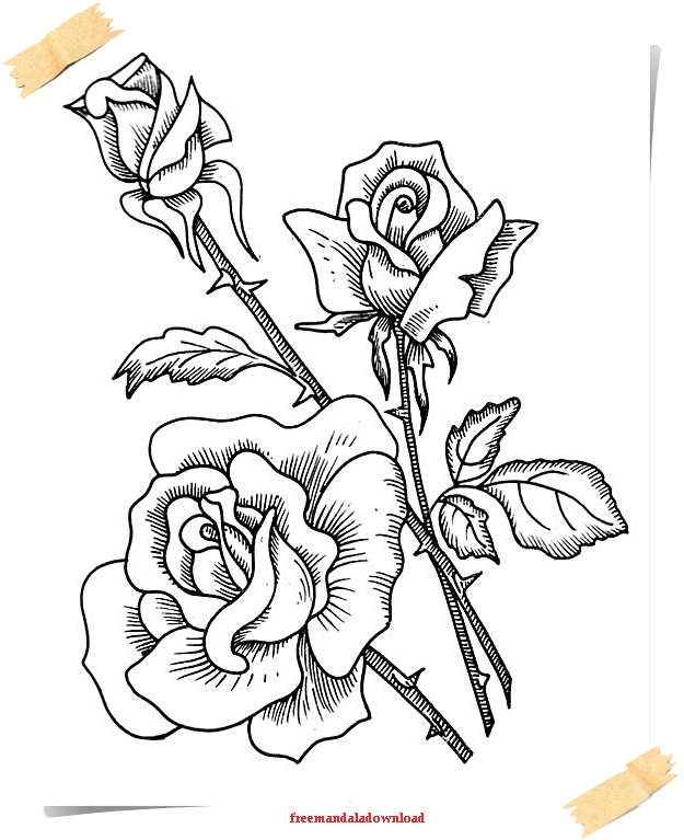 Malvorlagen für Erwachsene Blumen und Pflanzen Flowers Malvorlagen für Erwachsene Blumen und Pflanzen Flowers