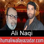 https://www.humaliwalyazadar.com/2018/09/ali-naqi-nohay-2019.html