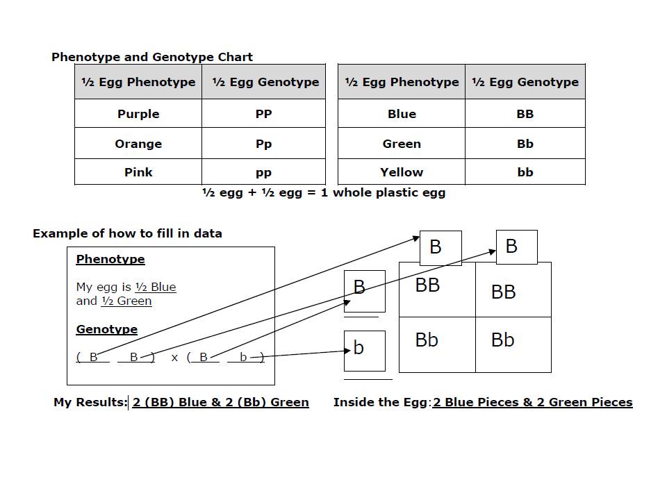 to Mrs. Strong's Biology Blog. Come on in! Learning is fun! pg