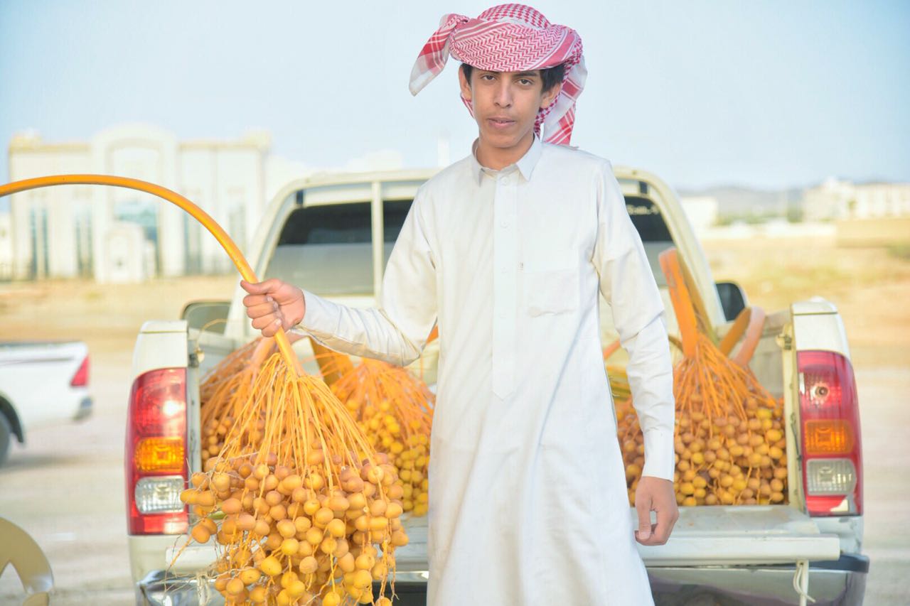 بمشاركة 112 مزارع بدء مهرجان التمور الثاني بمحافظة العقيق صحيفة وطن 24 الأخبارية
