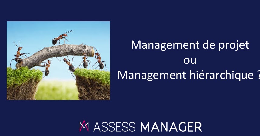 management hierarchique versus management de projet