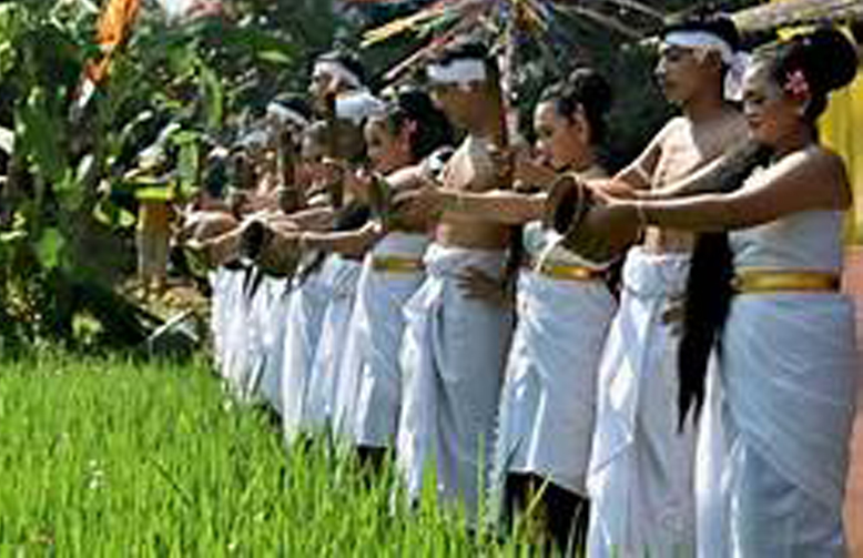 Adat Dan Tradisi Di Kota Semarang Sudah Tahu Ujwar Firdaus