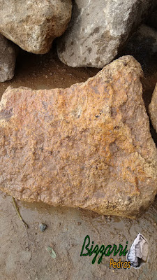Pedra chapada, tipo pedra moledo, com tamanhos variados, para pisadeira de pedra no jardim.
