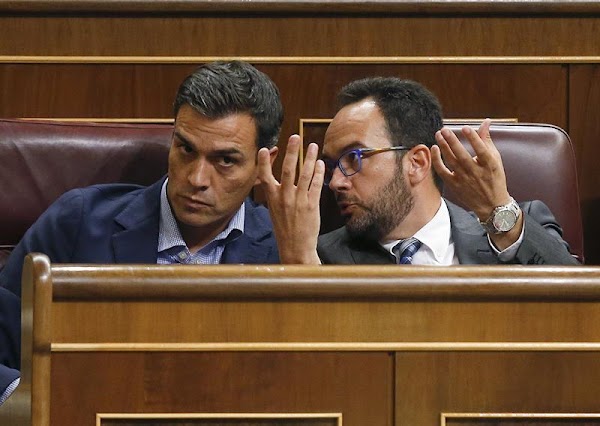 Dimisiones en el PSOE para echar a Sánchez Dimisiones en el PSOE para echar a Sánchez